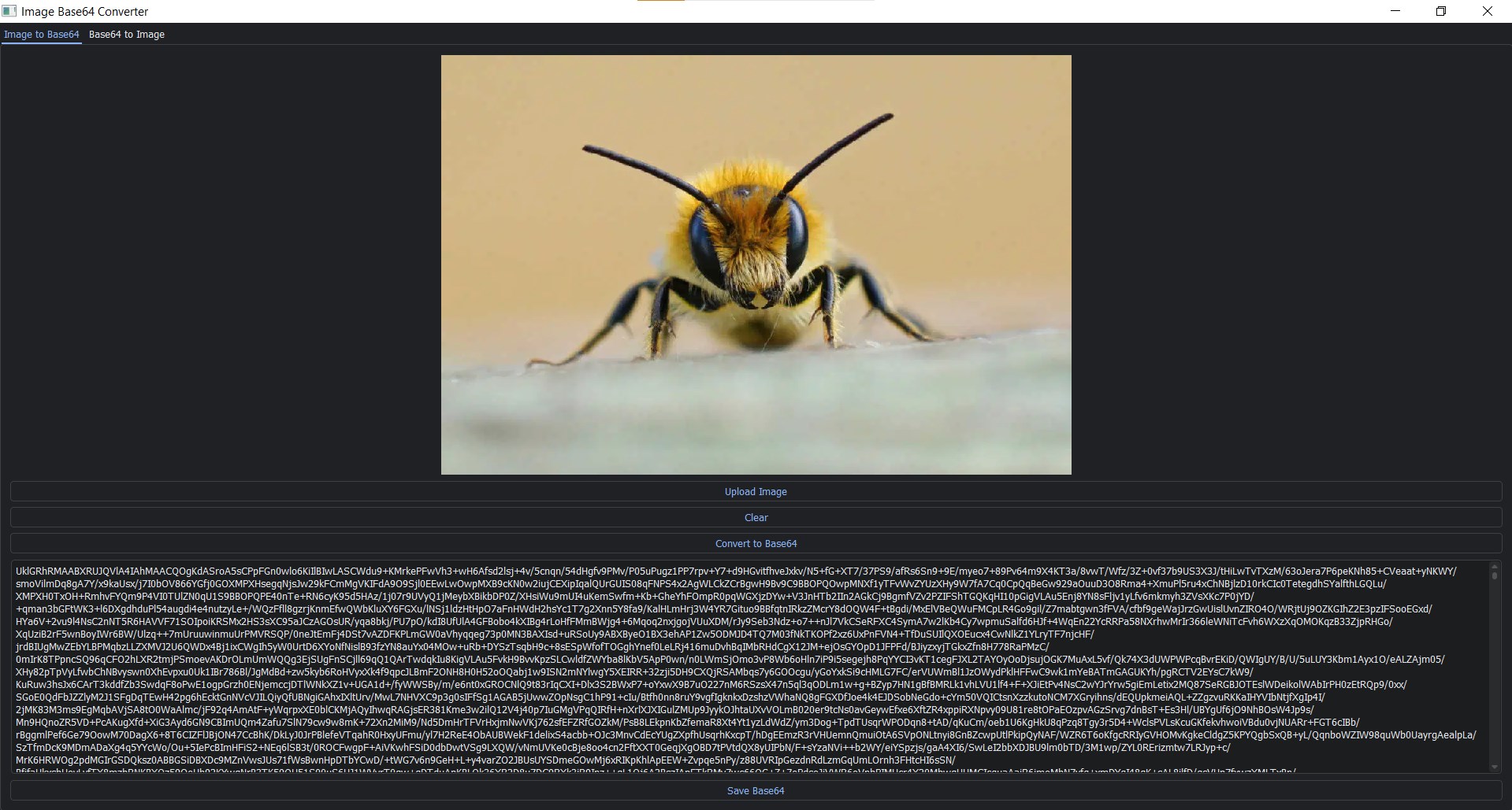 image encryption screenshot 1