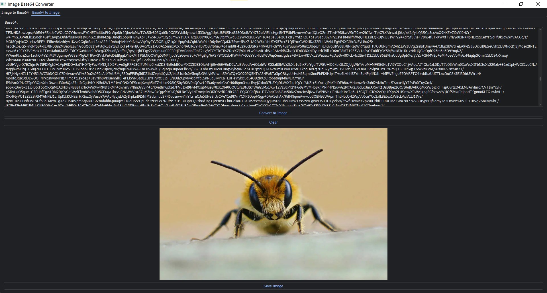 image encryption screenshot 2